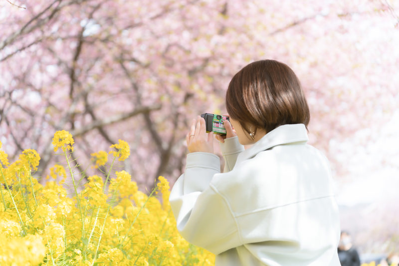 写真を撮っている女性